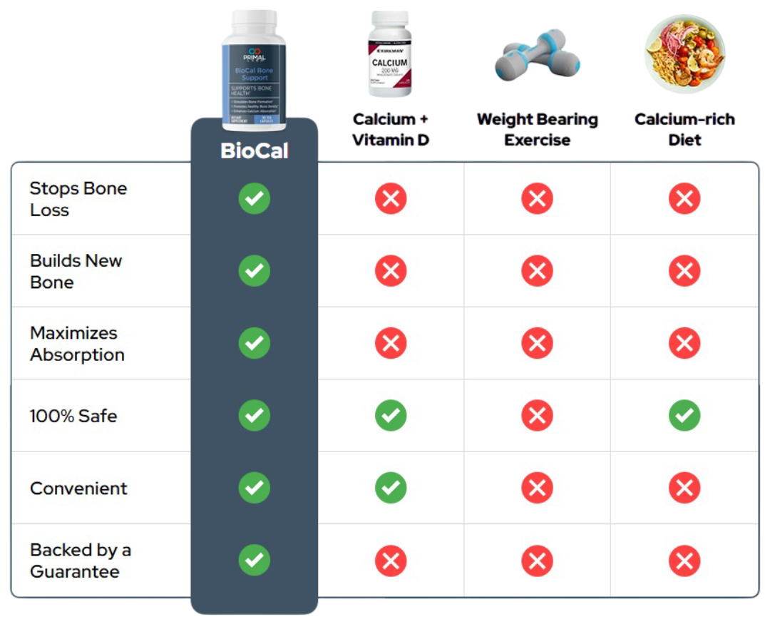 Biocol Bone Support vs Other Bone Support Solutions