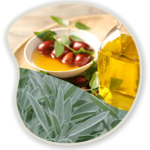 Jojoba-Seed-Oil-and-Sage-Leaf-Extract