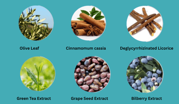Neuro Surge Ingredients